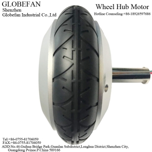 BL16060DI01 Hub Motor