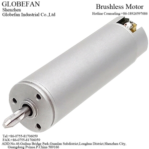 BL1654 Brushless Motor