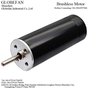 BL1636 Brushless Motor