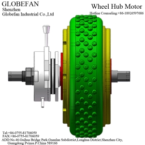 BL20880DI01 Hub Motor