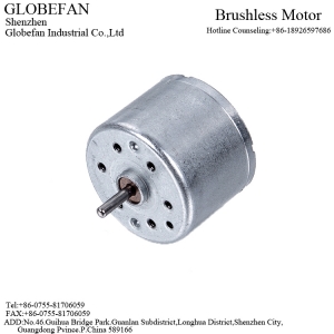 BL2418 BLDC Motor