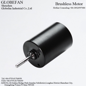 BL2838  BLDC Motor
