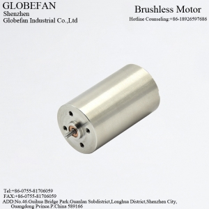 BL2847  BLDC Motor