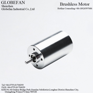 BL4250  BLDC Motor