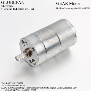 GF-25BL2430 Geared Motor