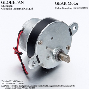 GF-32B300 Geared Motor
