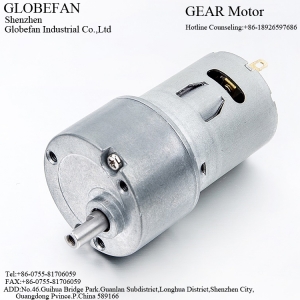 GF-33B365 Geared Motor