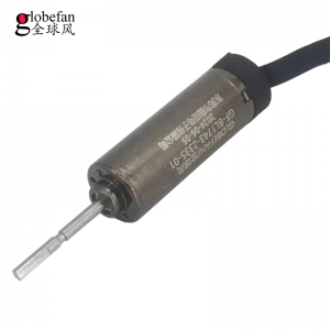 掃震牙刷無(wú)刷電機(jī)